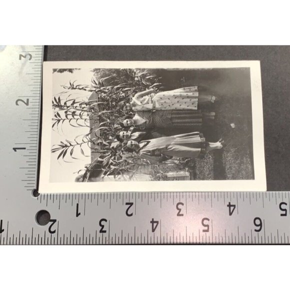 Family in Corn Field Found Photo Tall Corn Stalks 1930s Farming Ag Snapshot - Picture 3 of 6